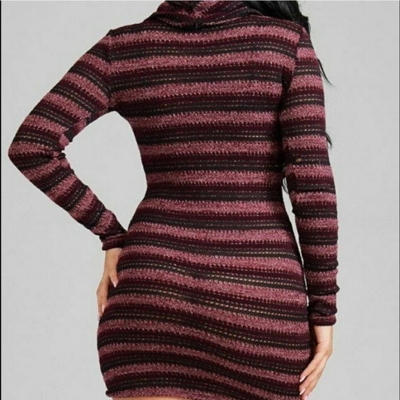 Striped Burgundy Turtle Neck Sweater Dress - Picture 2 of 5